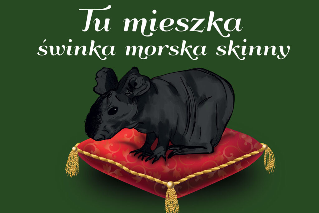 Tabliczka tu mieszka świnka morska