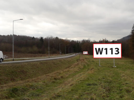 W113 — ul. Strzegomska DW379
