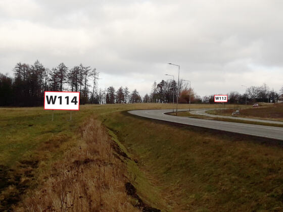 W114 — ul. Strzegomska DW379